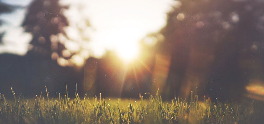 Emotional freedom Technique in bangalore
