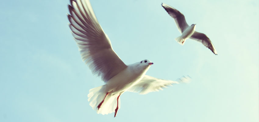 Hypnotherapy center in bangalore