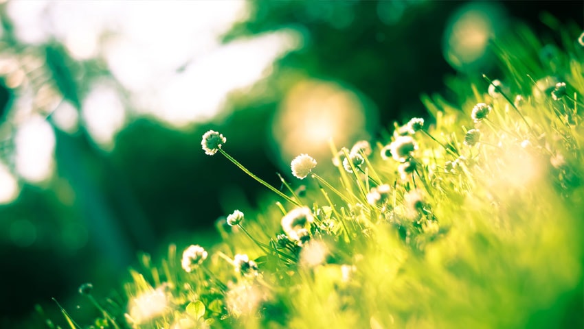 Hypnotherapy center in bangalore