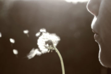 emotional issues healing center in bangalore